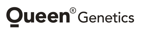 Queen Genetics Logo
