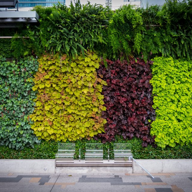 Japan 2017 Plantwall LAR Rainwater