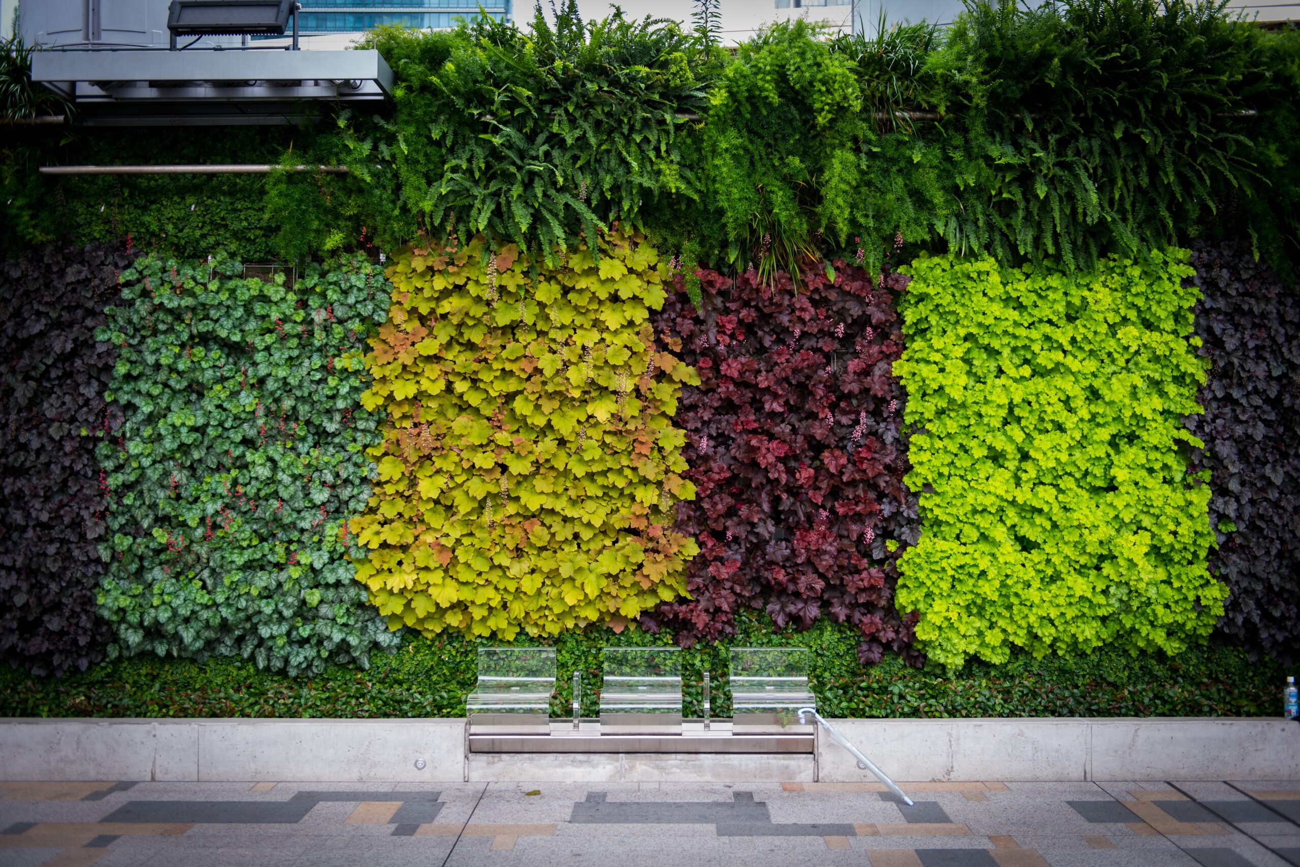 Japan 2017 Plantwall LAR Rainwater