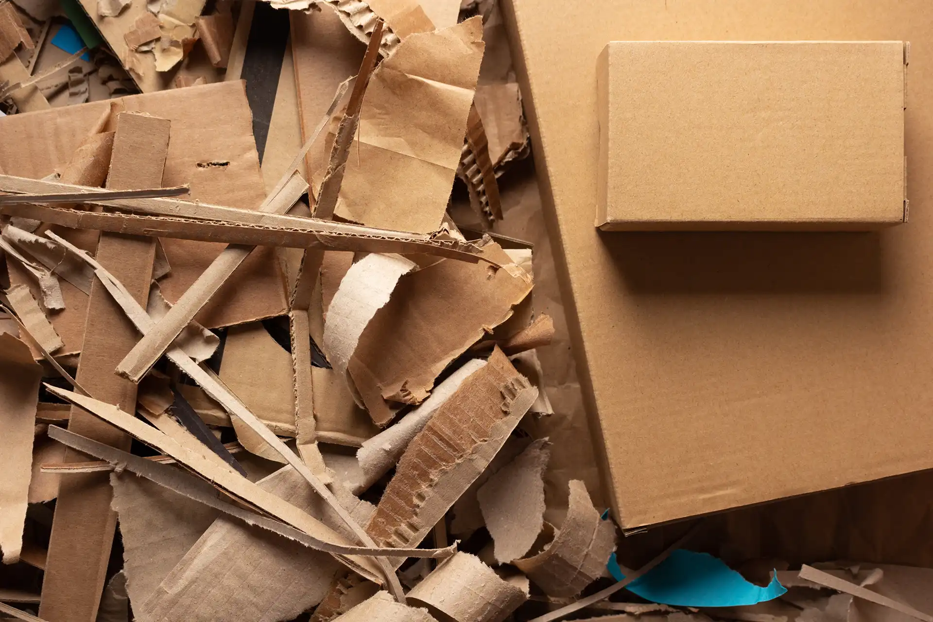 Cardboard Paper Waste