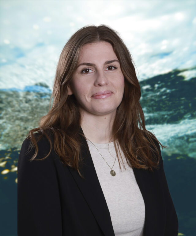 Clean Employees Sheila Bazaz Kjerulff SBK