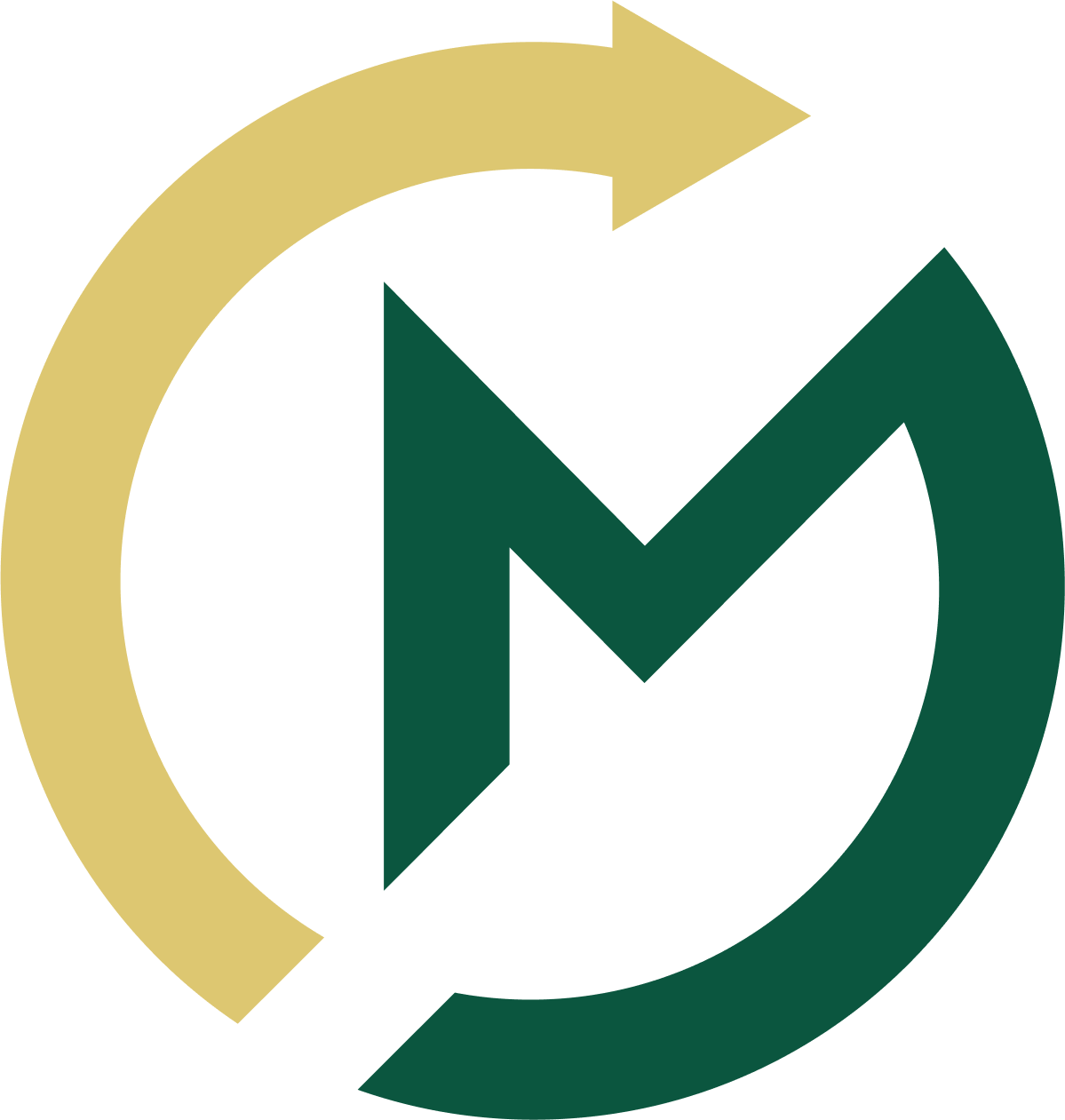 Circular Momentum logo