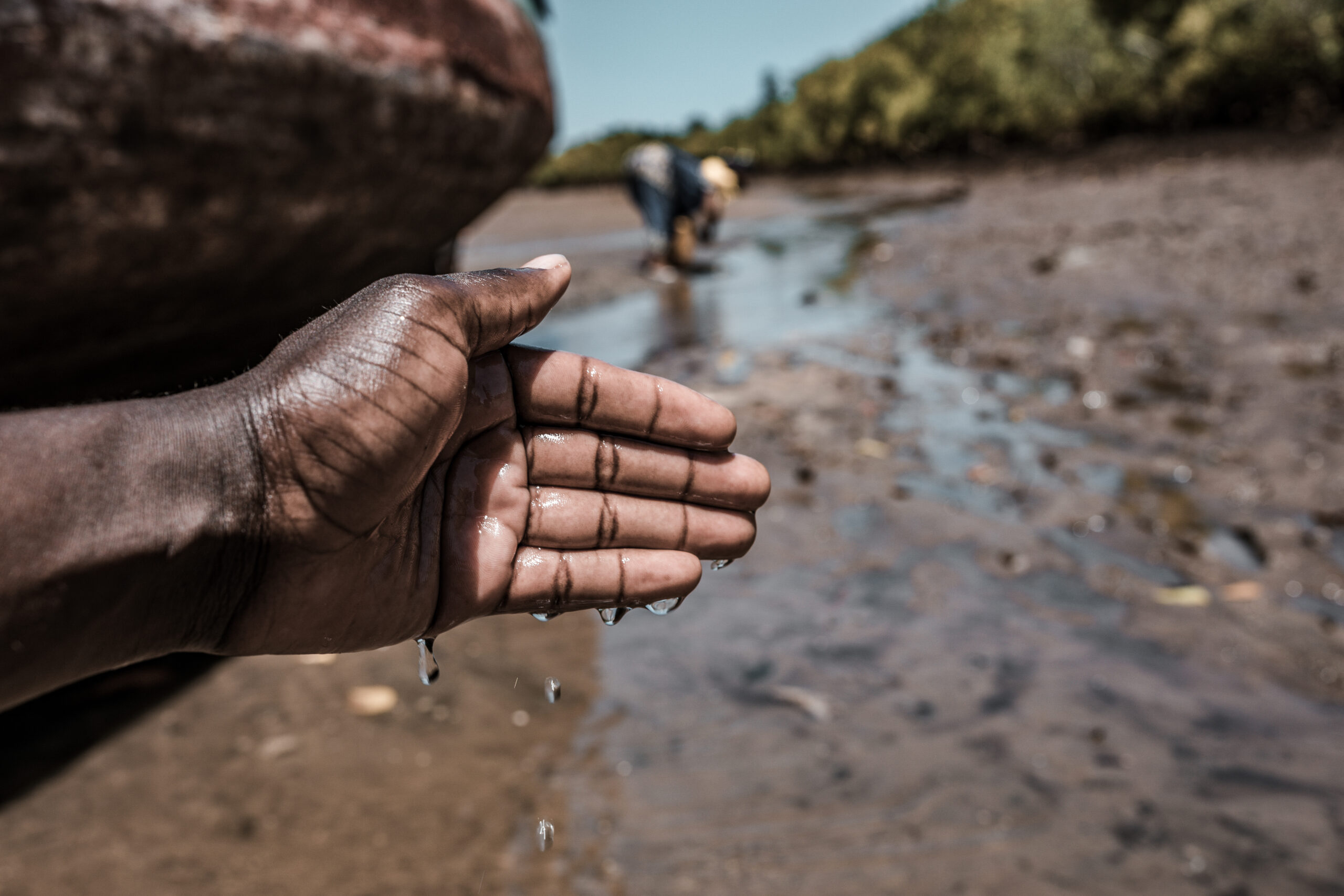 Kenya Images Pictures details shapes farm farming field plants vegetations meadows landscapes Nairobi city County
