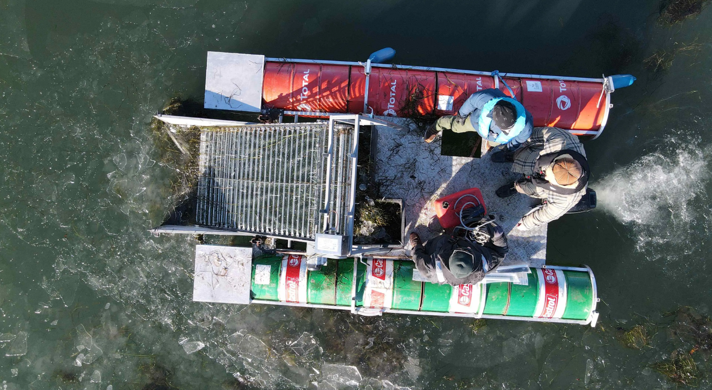 AI-støvsuger ude på et hav for at opsamle ålegræs