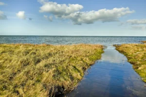 Vandmiljøkonferencen 2025