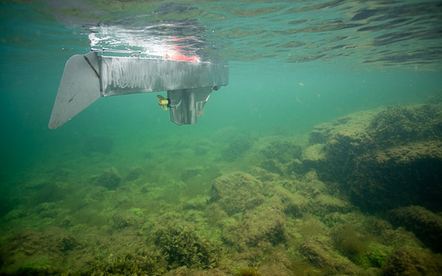 unmanned SenseBoat USV, automatically mapping eelgrass and other seabed types from underwater images collected