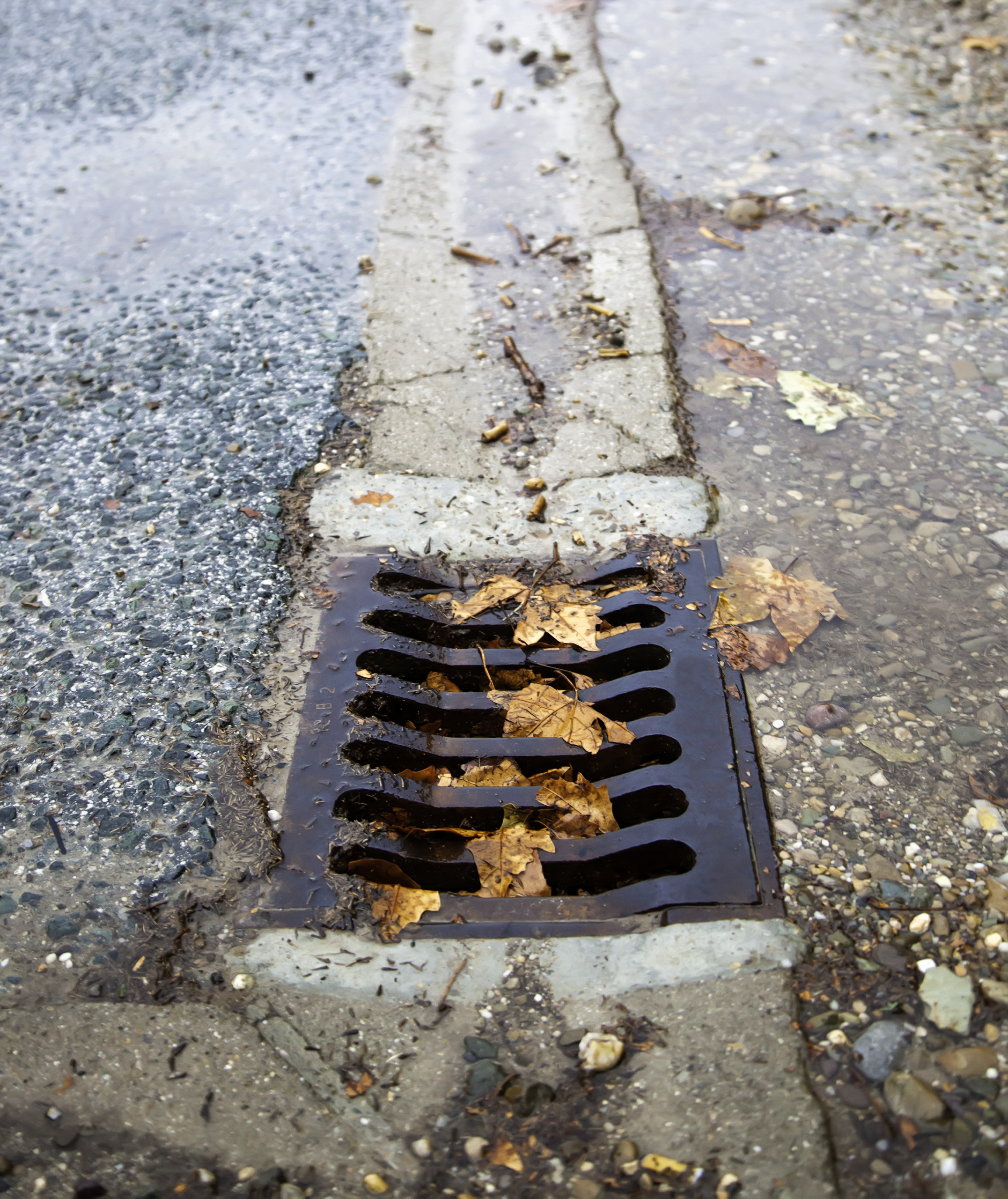 Sewer drain at the side of a street